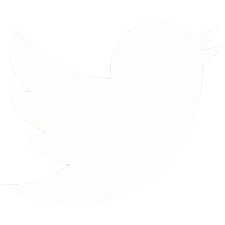 Twitter Logo